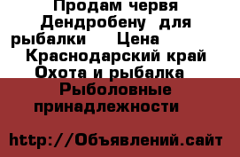 Продам червя Дендробену  для рыбалки . › Цена ­ 1 700 - Краснодарский край Охота и рыбалка » Рыболовные принадлежности   